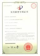 雙制動重型軌道車